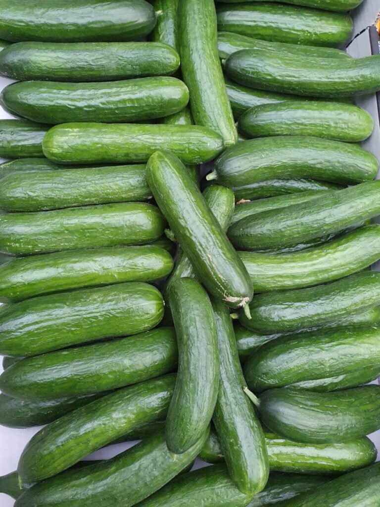 Mini Cucumbers Naked 3 For 1 20 The Northampton Grocer